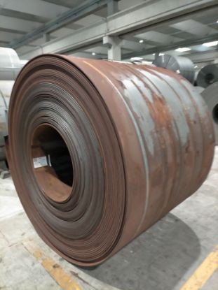 Immagine di 2310281991